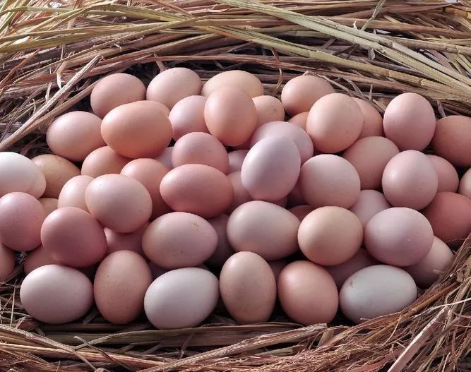 股票投资讲解短视频,股票投资的收益构成是什么