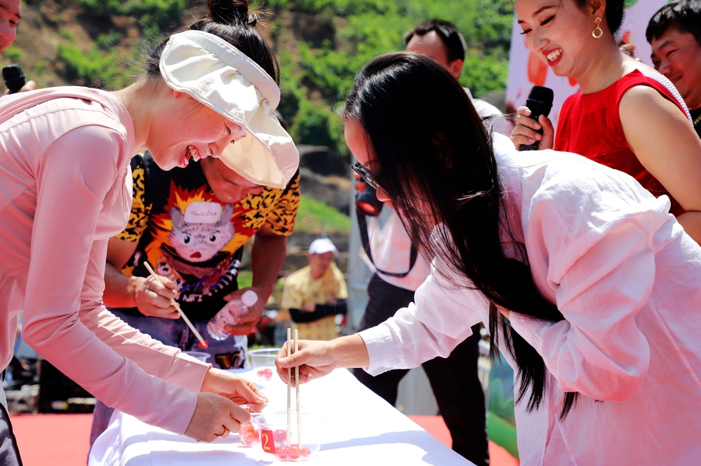 红玛瑙樱桃米易,米易县樱桃红