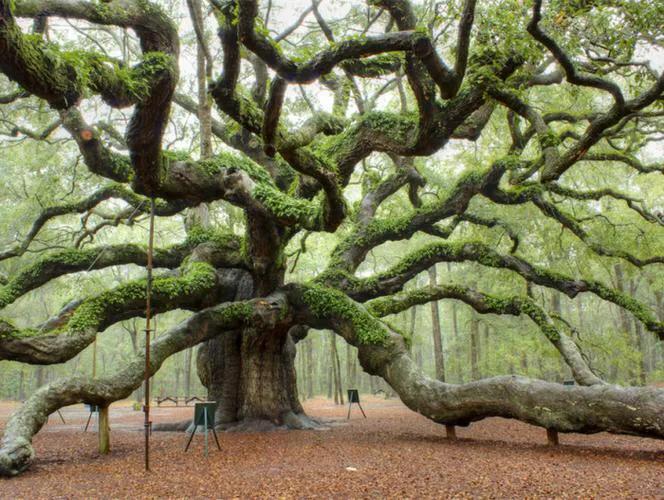 为什么硬的东西容易碎,越轻的东西越容易摔碎吗