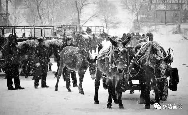 哈尔滨：那些老街区里的轶闻趣事