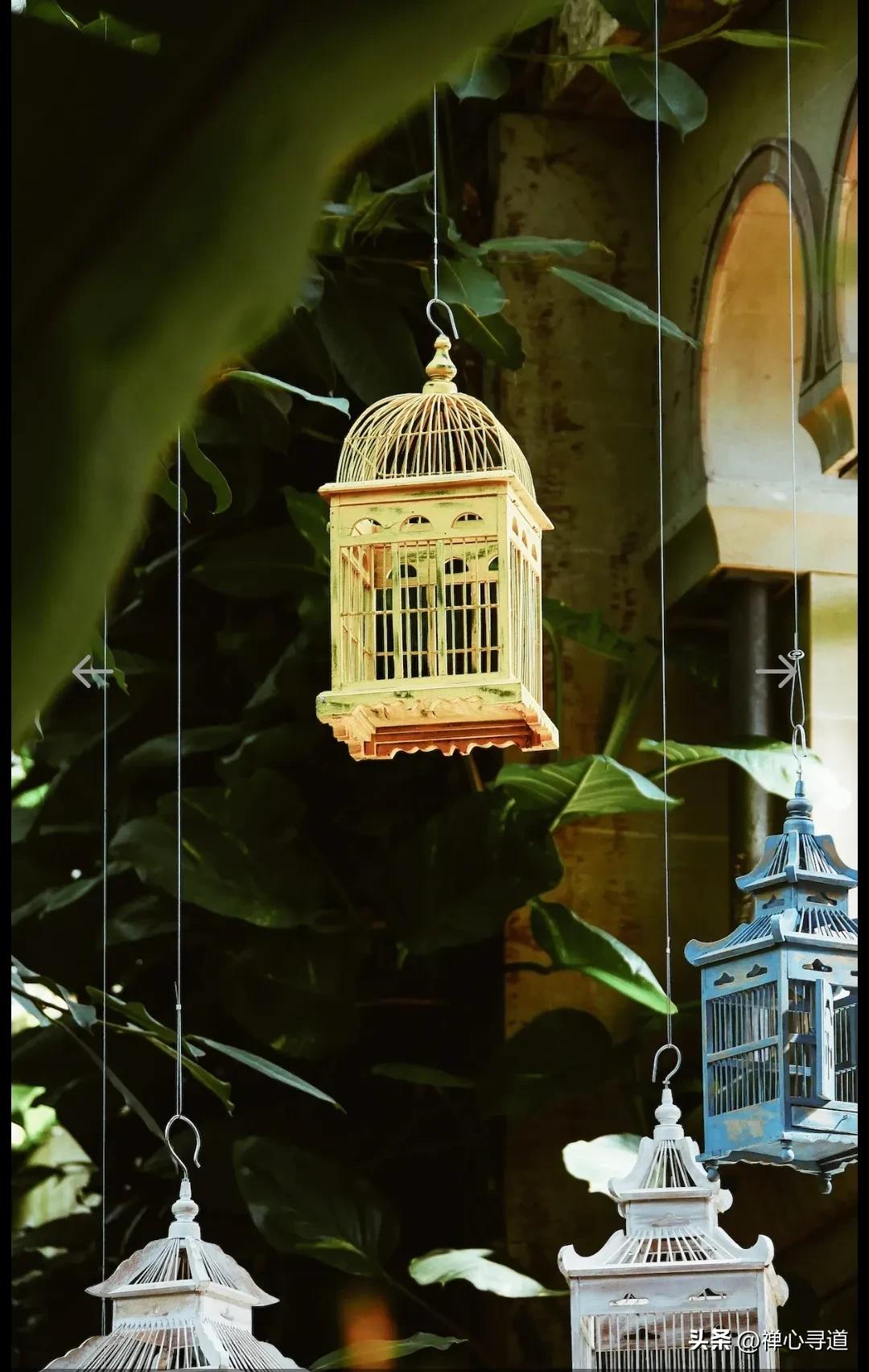 大数据是人为在操作吗,大数据是谁在监视你