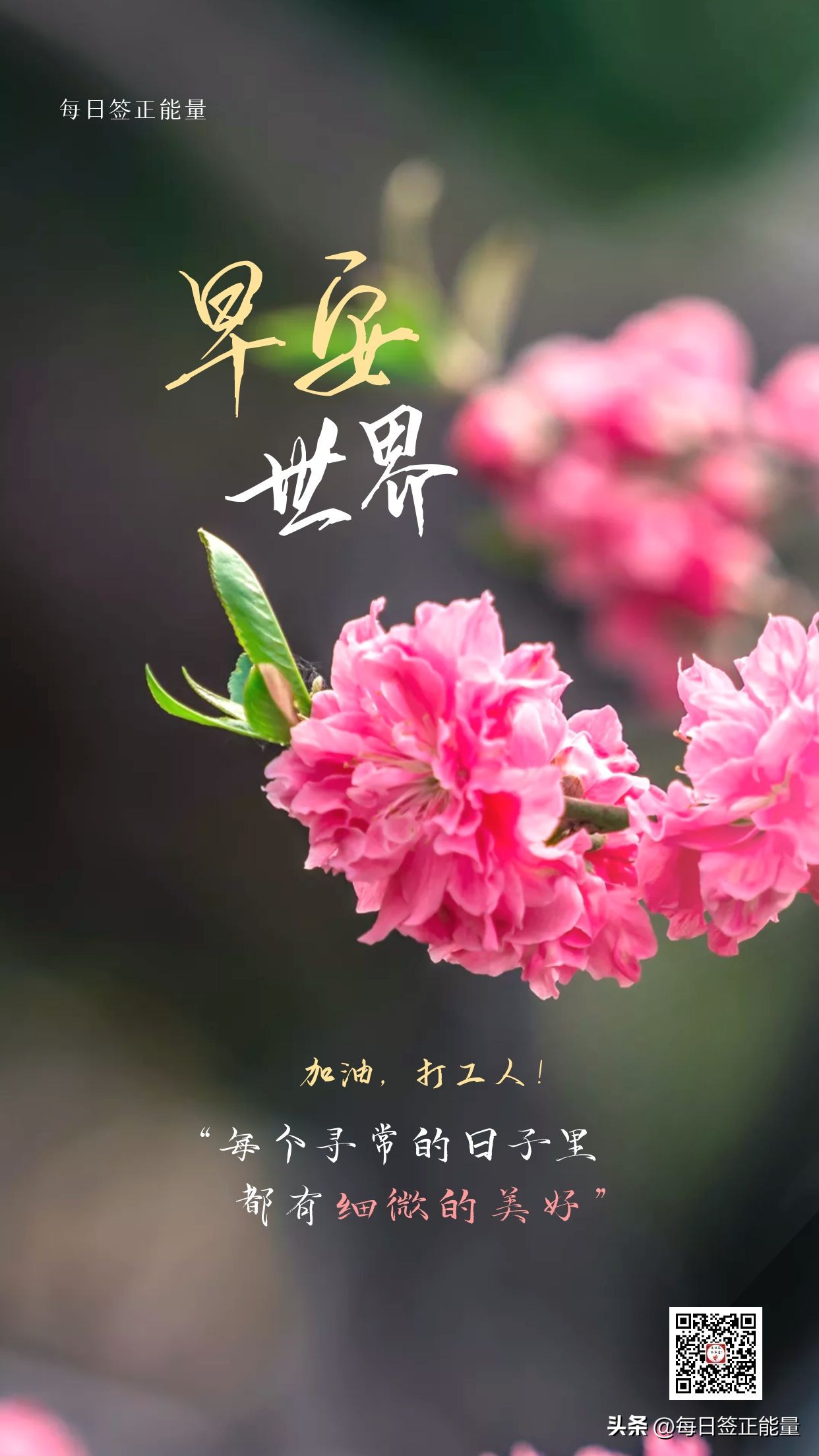 朋友圈的励志的早安短句,清晨励志早安心语正能量祝福句子