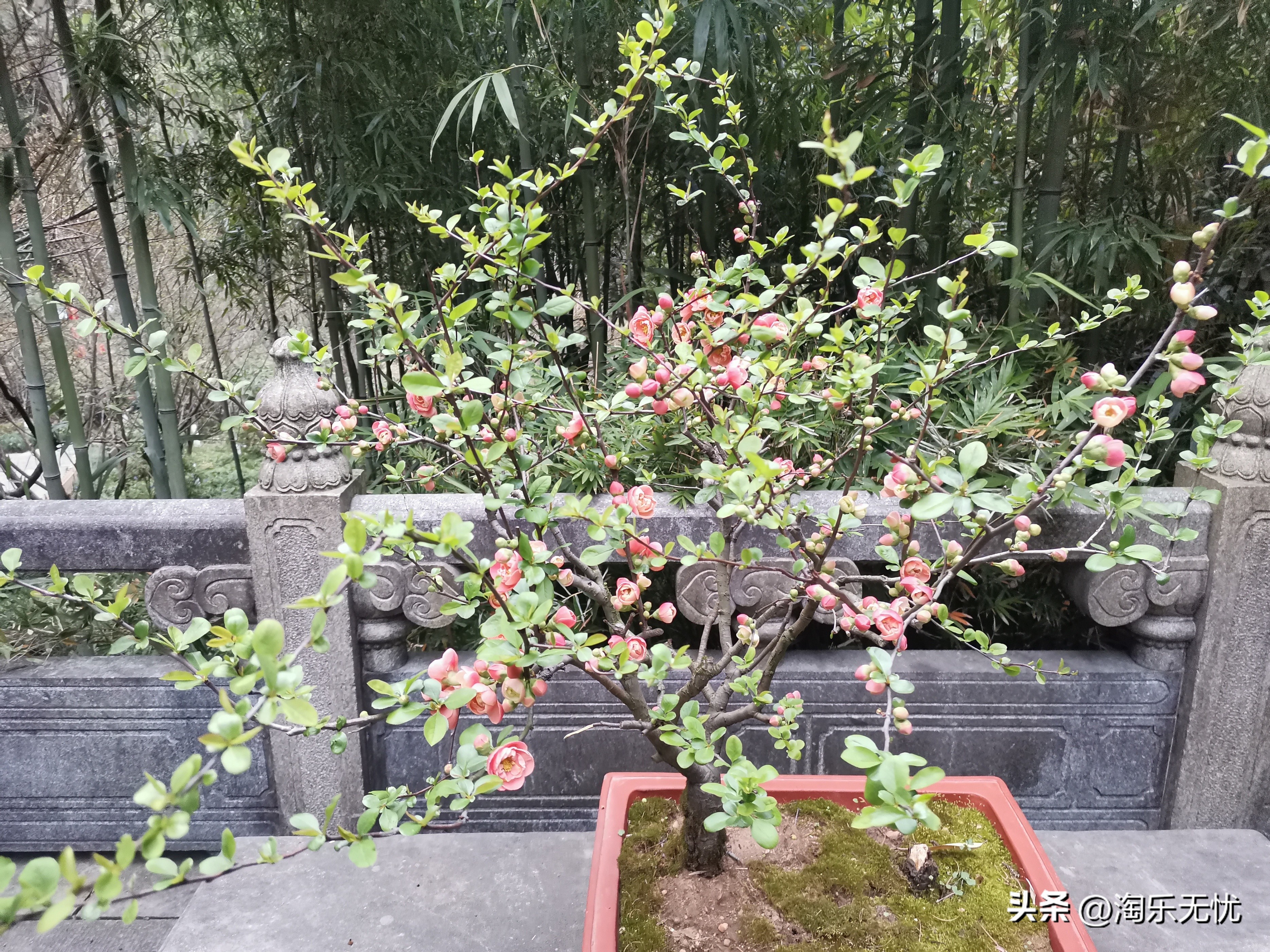灵隐飞来峰爬上灵隐寺需要多久,杭州景点飞来峰和灵隐寺介绍