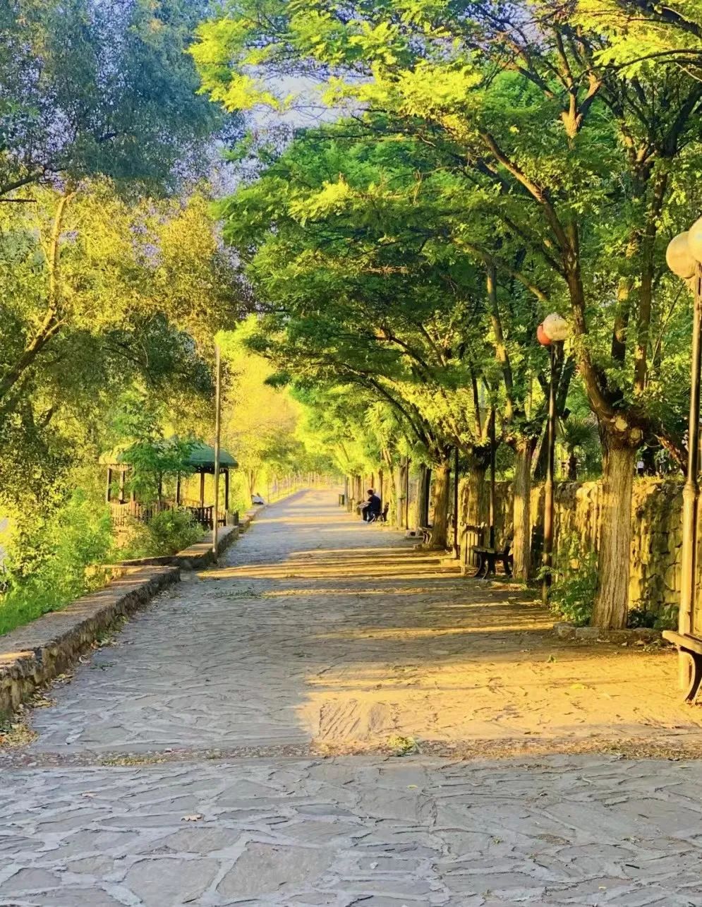 78岁老人、42天婴儿、癌症患者…高危群体的抗阳实录