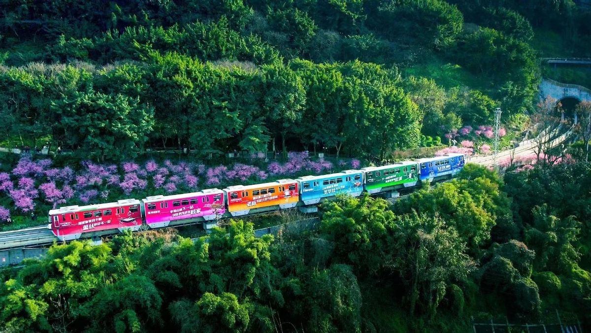 上海红星美凯龙315fun肆嗨购节,红星美凯龙315fun肆嗨购节排行