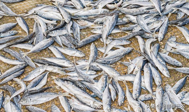 农民卖自家农产品违法吗,农民卖土特产违法吗