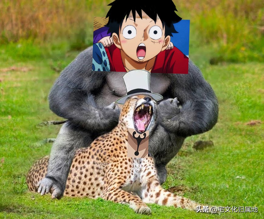 路飞vs路奇漫画1068,海贼王第1076集路飞所期盼的世界