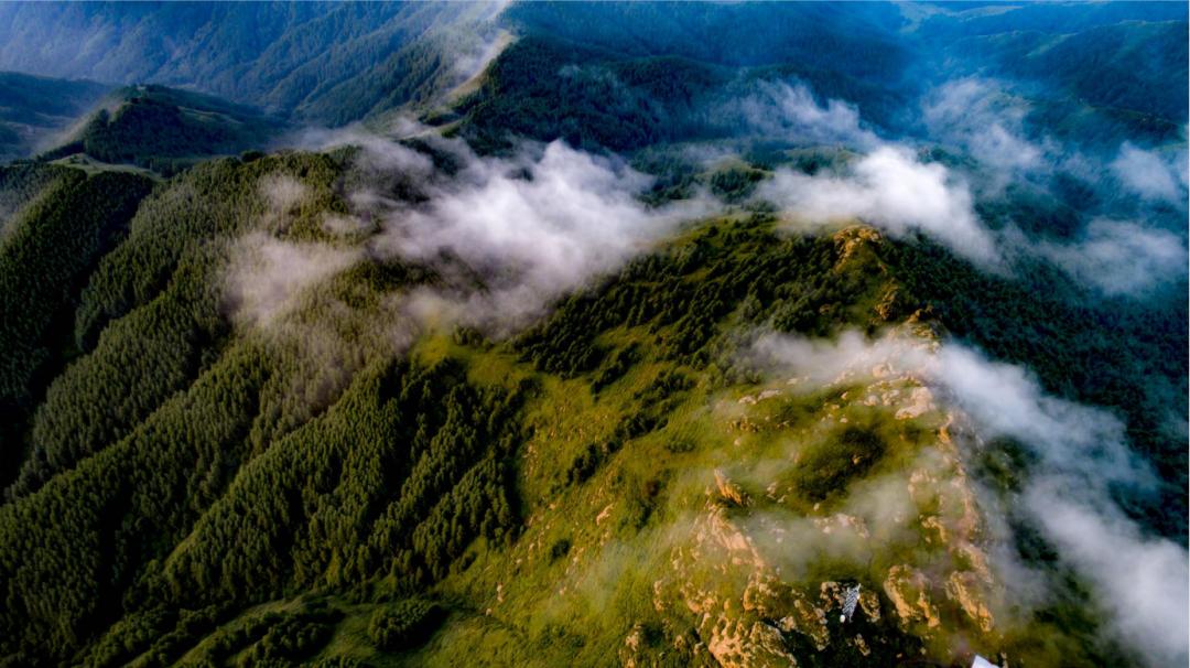 鍐呰挋鍙ゅ宸磋兒椋庢牸琛ｆ湇,澶氬反瀹夌┛鎼唴钂欏彜