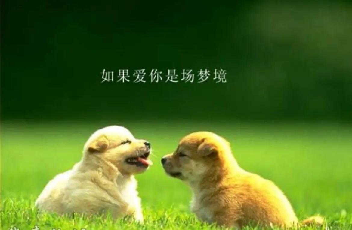 爱你小笑话,幽默小笑话大全笑哭你