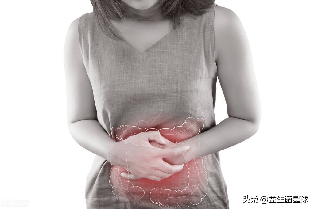 Welcometo益生菌星球——本期星球成员：格氏乳杆菌