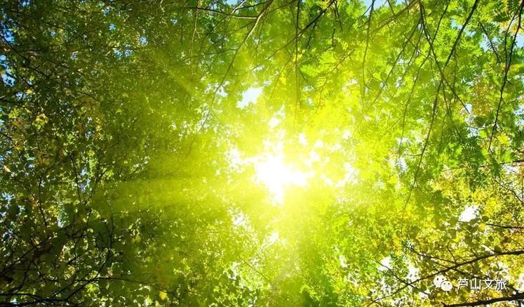 芦山县大川镇夏天避暑凉快吗,暑假避暑旅游最佳选择川内