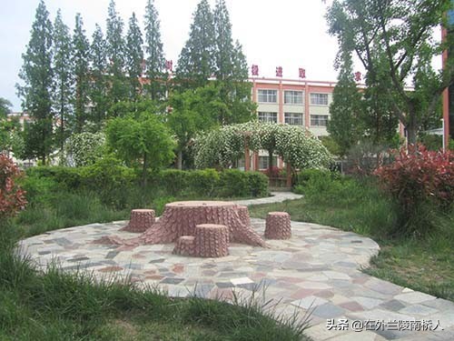 奉贤区南桥镇初级中学排名,兰陵县南桥镇南桥初级中学简介