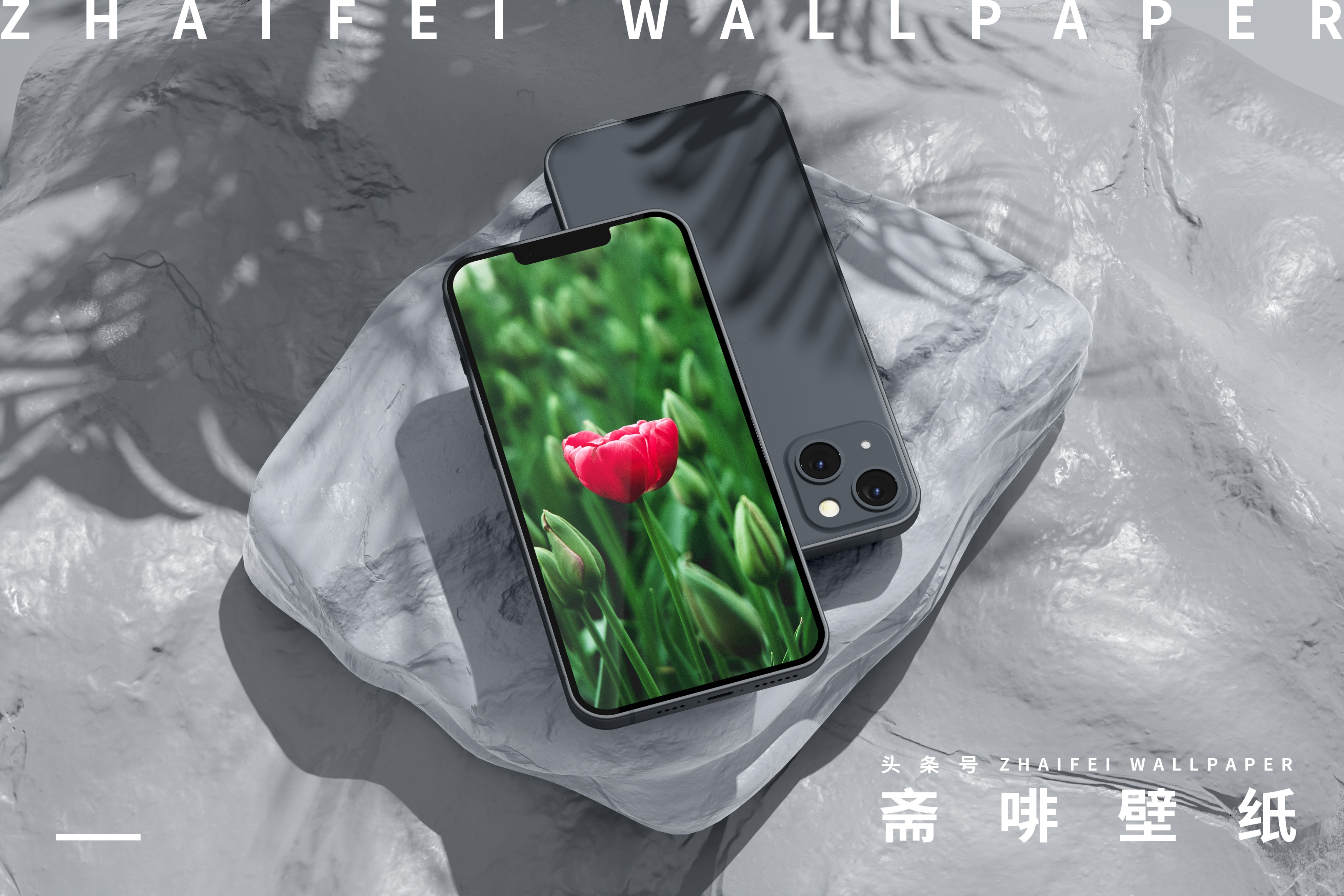 苹果专用壁纸全屏花,花图片壁纸高清全屏