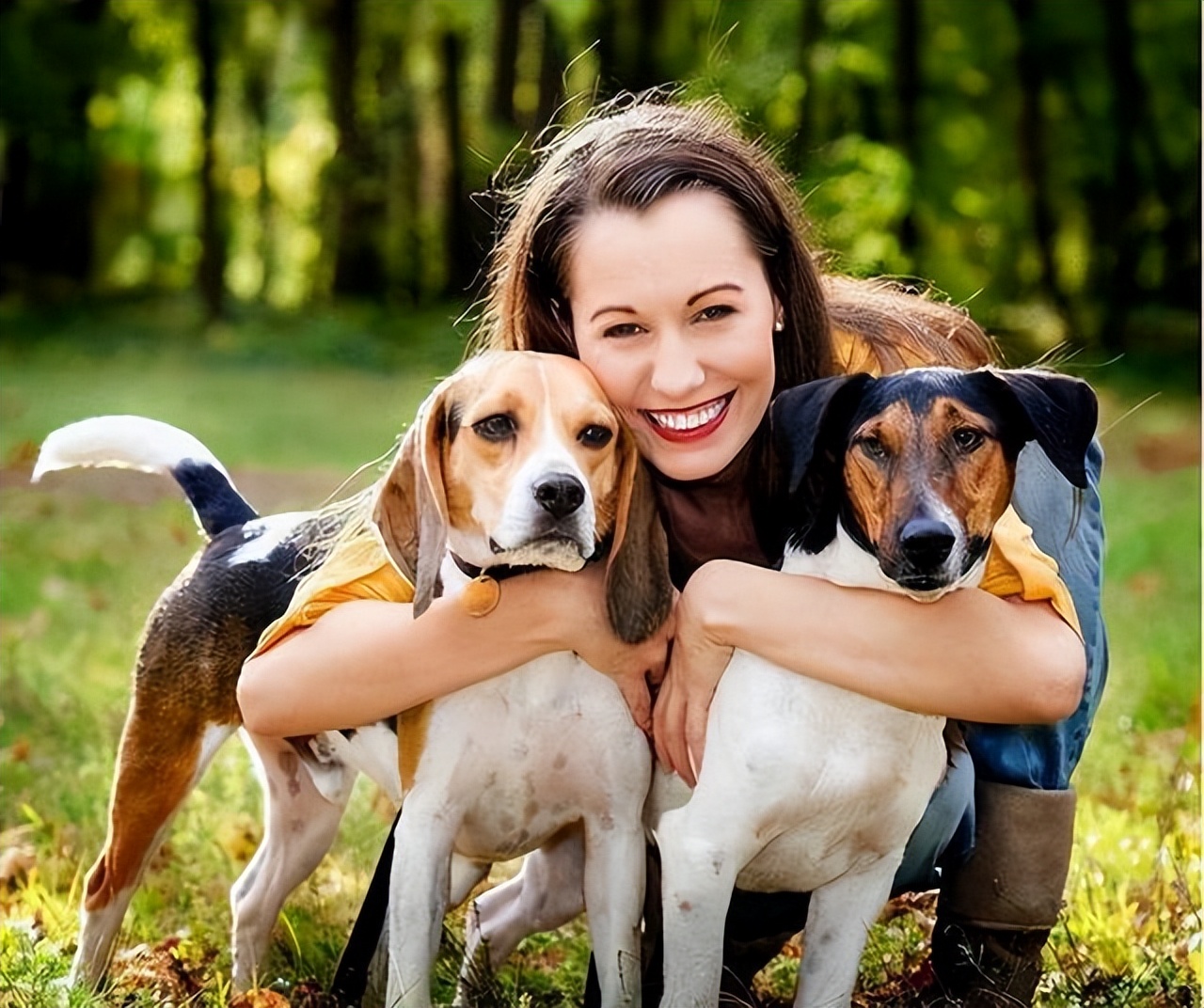 新手推荐养公狗还是养母狗,养公狗和养母狗哪个好