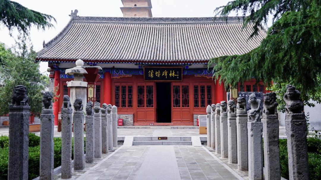 爱上榆林的100个理由,爱上比亚迪100个理由