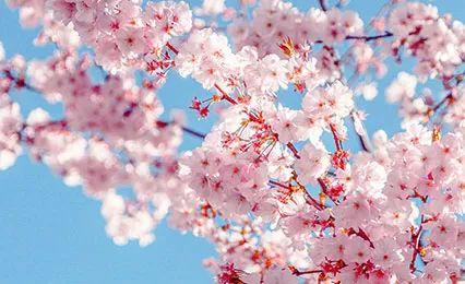 《渡劫归来我成了他的朱砂痣》《被渣后，小寡夫重生了》........