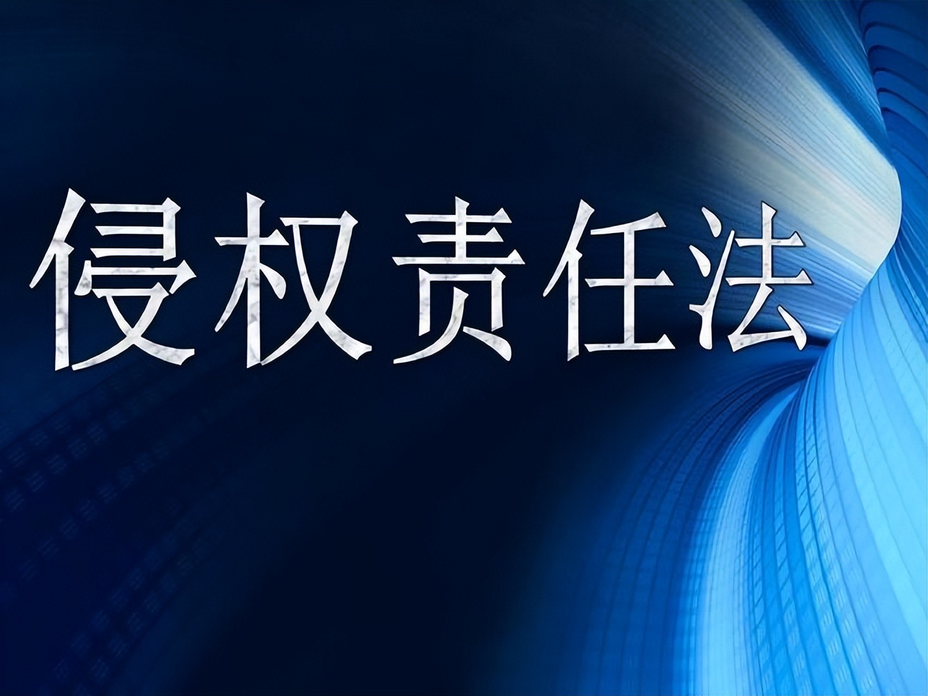 法律上的侵权责任纠纷是什么意思,法律规定侵权责任的意义
