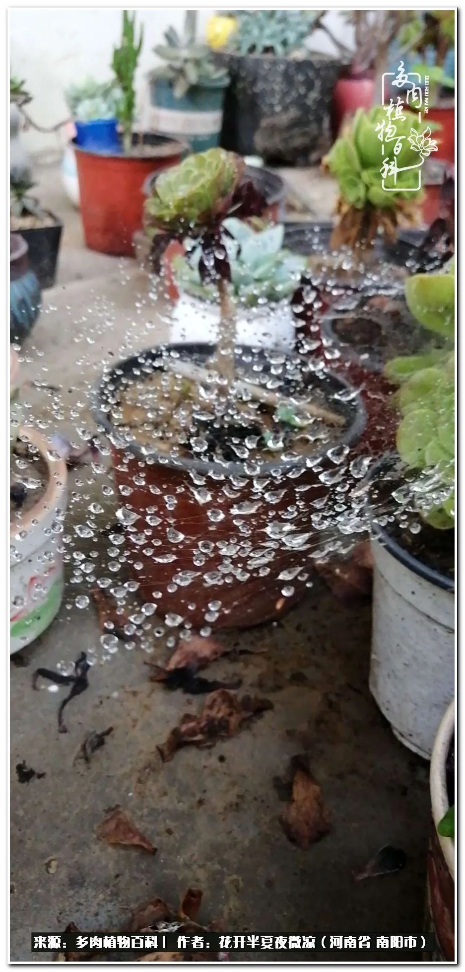 万事开头难只要坚持才有收获,万事开头难只要肯干就会有结果