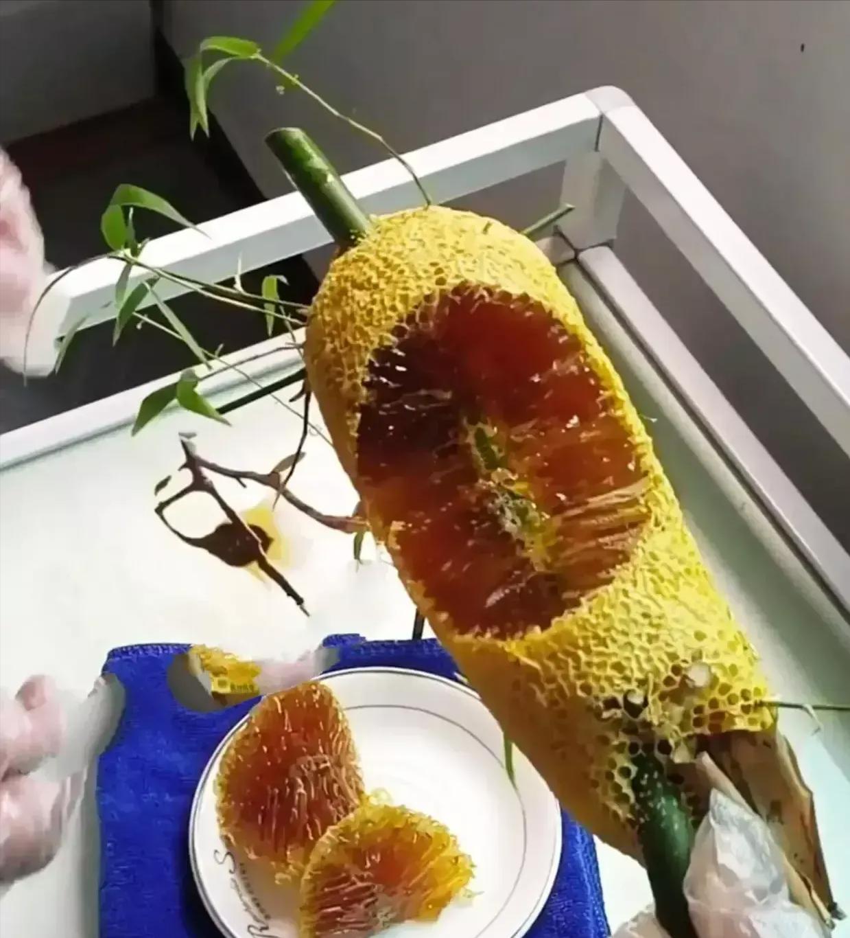 竹子上咬洞的蜂叫什么蜂,竹子上的蜂巢蜜