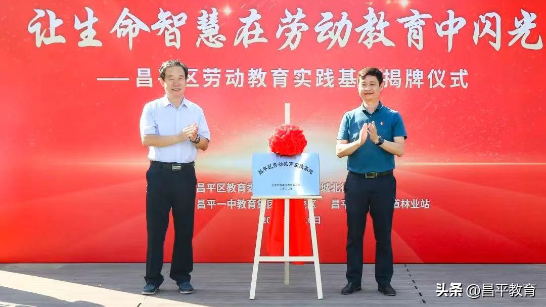 深入开展作风建设年重点任务图解,持之以恒推进作风建设走深走实