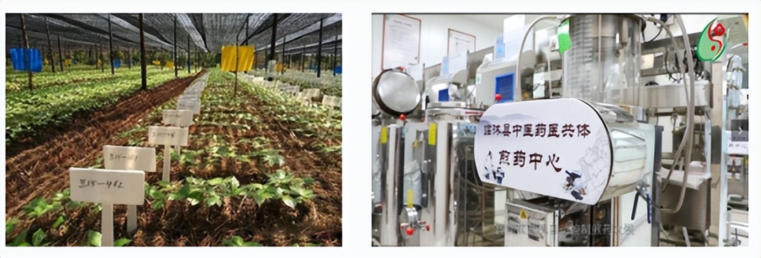 中药高价消费时代，中医馆如何控本增效？