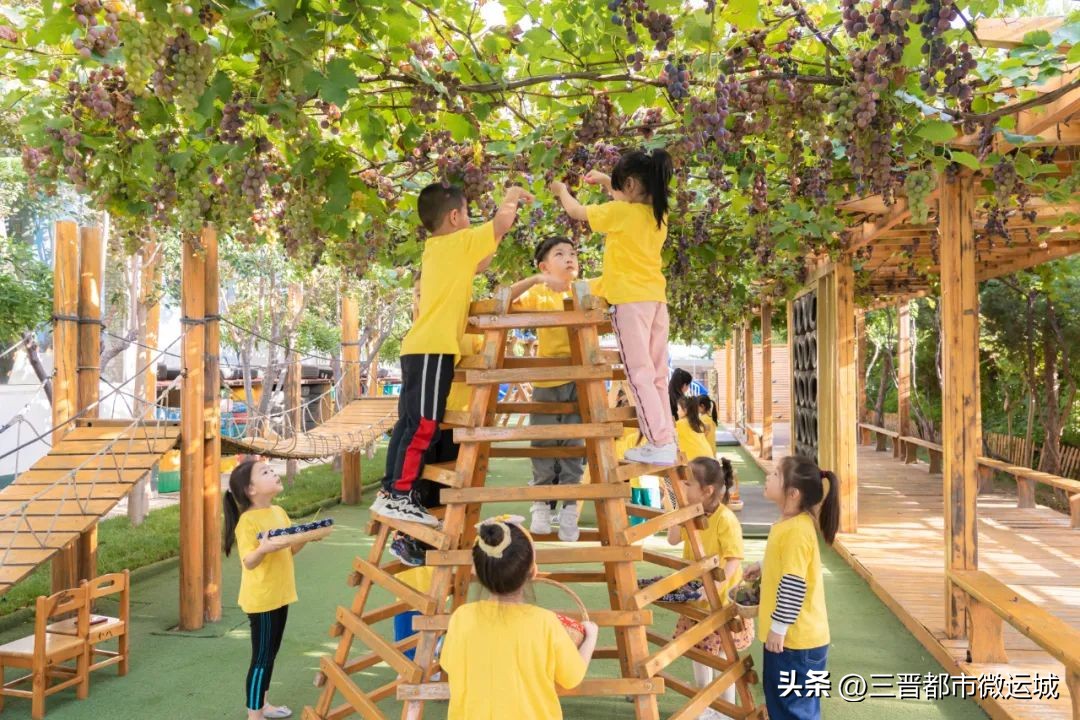 秋光如岁邂逅一场欢喜——临猗县直一园开学季