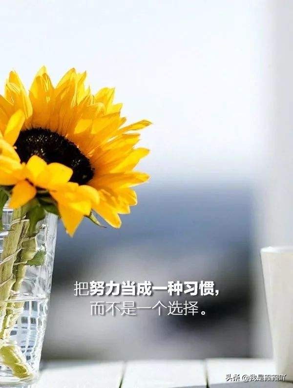 成功的意思及含义,成功的三大含义