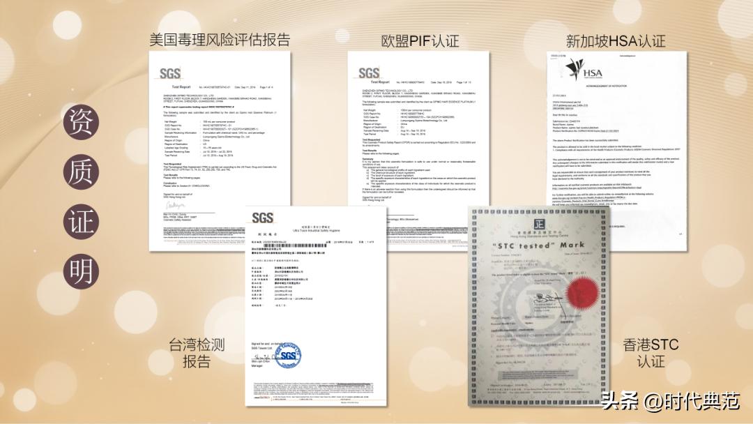 诗碧曼海外市场负责人陈芝妍亮相第十届中国企业家发展年会