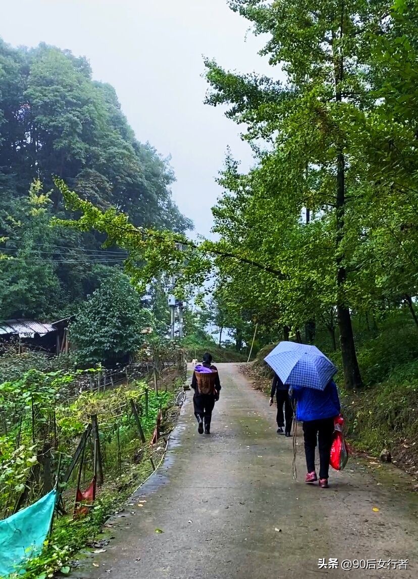 走进山间的小路感受大自然,成都深山老林旅游最好去处