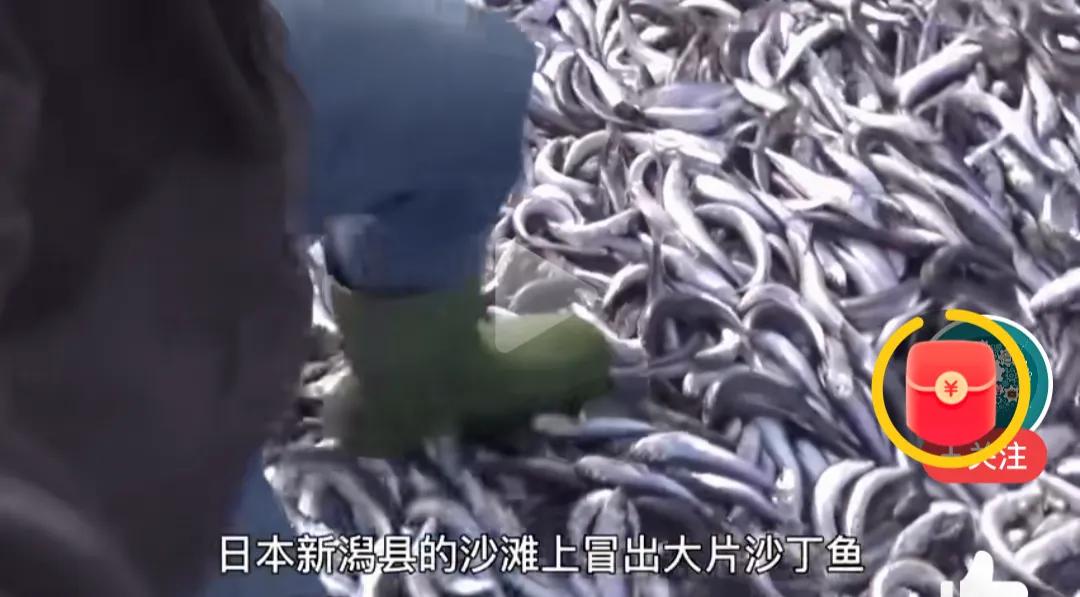 这6种东西建议不要吃,这几样东西千万不要混着吃