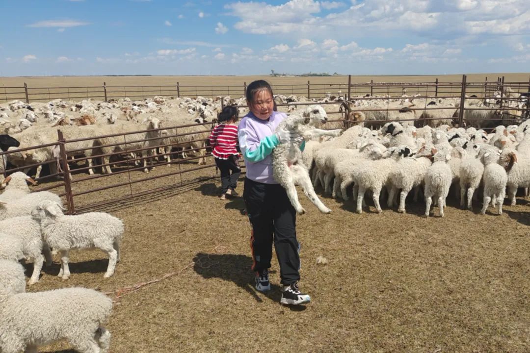 身边的榜样春华秋实,勤劳的榜样