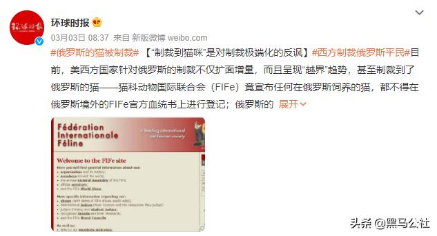 淇勭綏鏂鍒惰鍚庣殑缃戠粶,淇勭綏鏂鍒惰缃戠珯