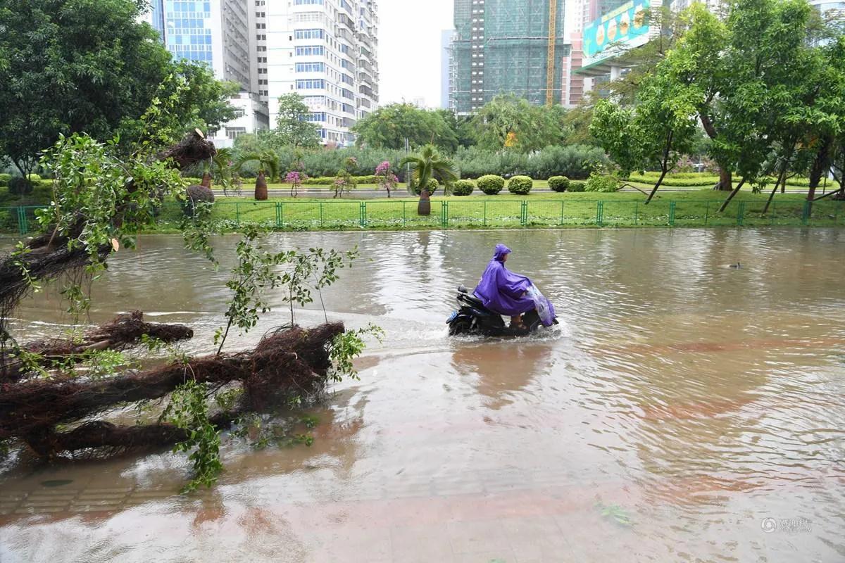 海南岛气候类型形成原因,海南岛的热带资源优势