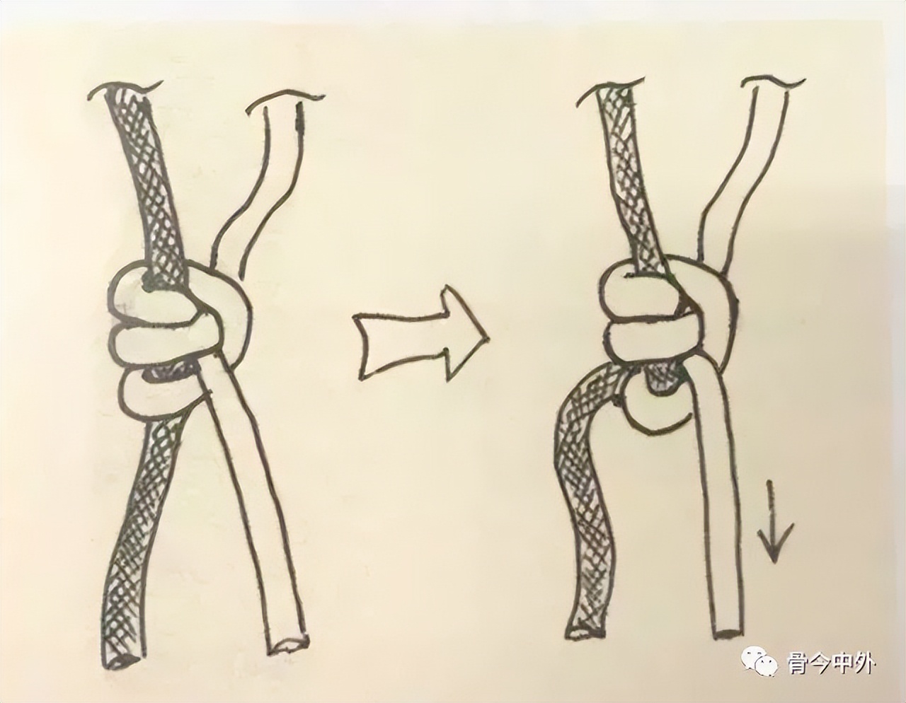 手把手教你绑滑漂,最简单的线结方法