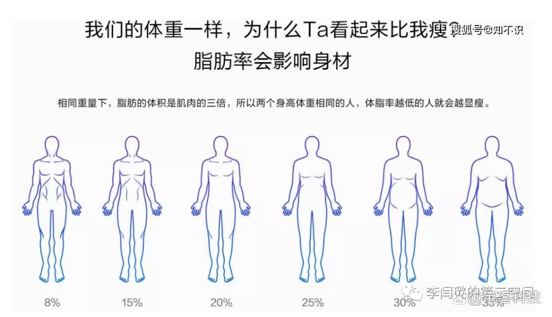 教你看懂检测报告,看懂体测报告中的骨骼肌与体脂