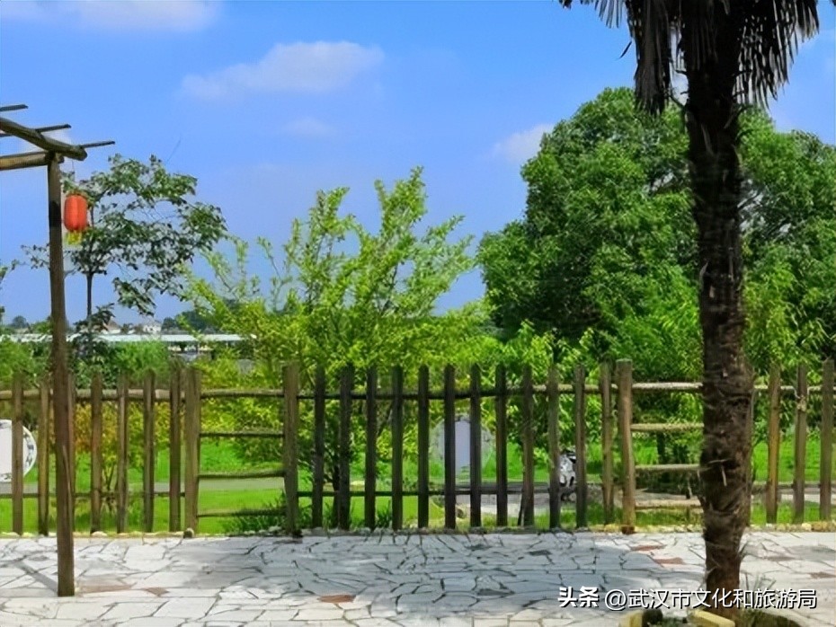 花朝河湾旅游景区本地人要门票吗,潘塘罗杨村花朝河湾景区最新消息