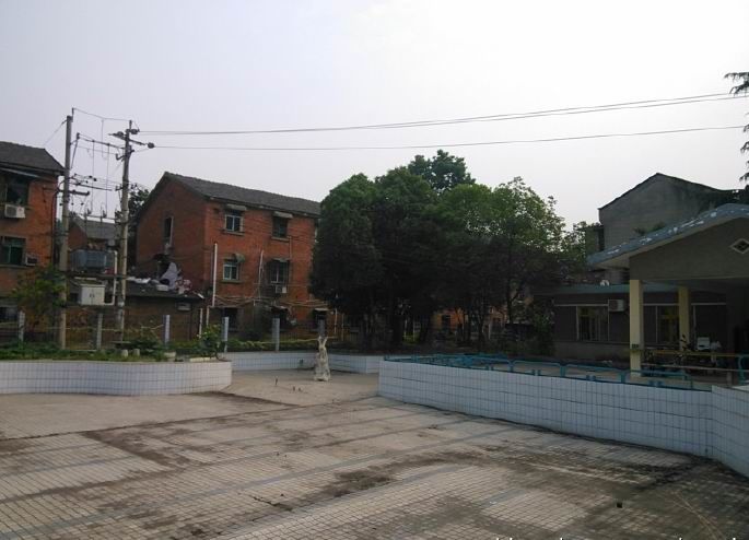 一场惊心动魄的篮球赛,一场别开生面的篮球赛作文