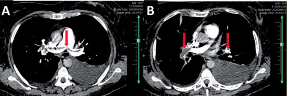 翟振国,翟振国医院