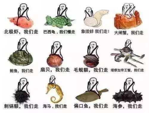 秦皇岛海鲜大比拼,秦皇岛一年四季的时令海鲜表