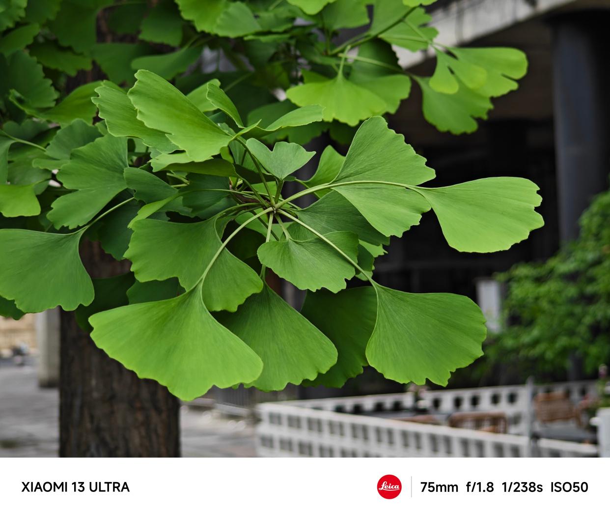 小米13ultra和三星s22ultra怎么选,小米13ultra和小米14promax哪个好