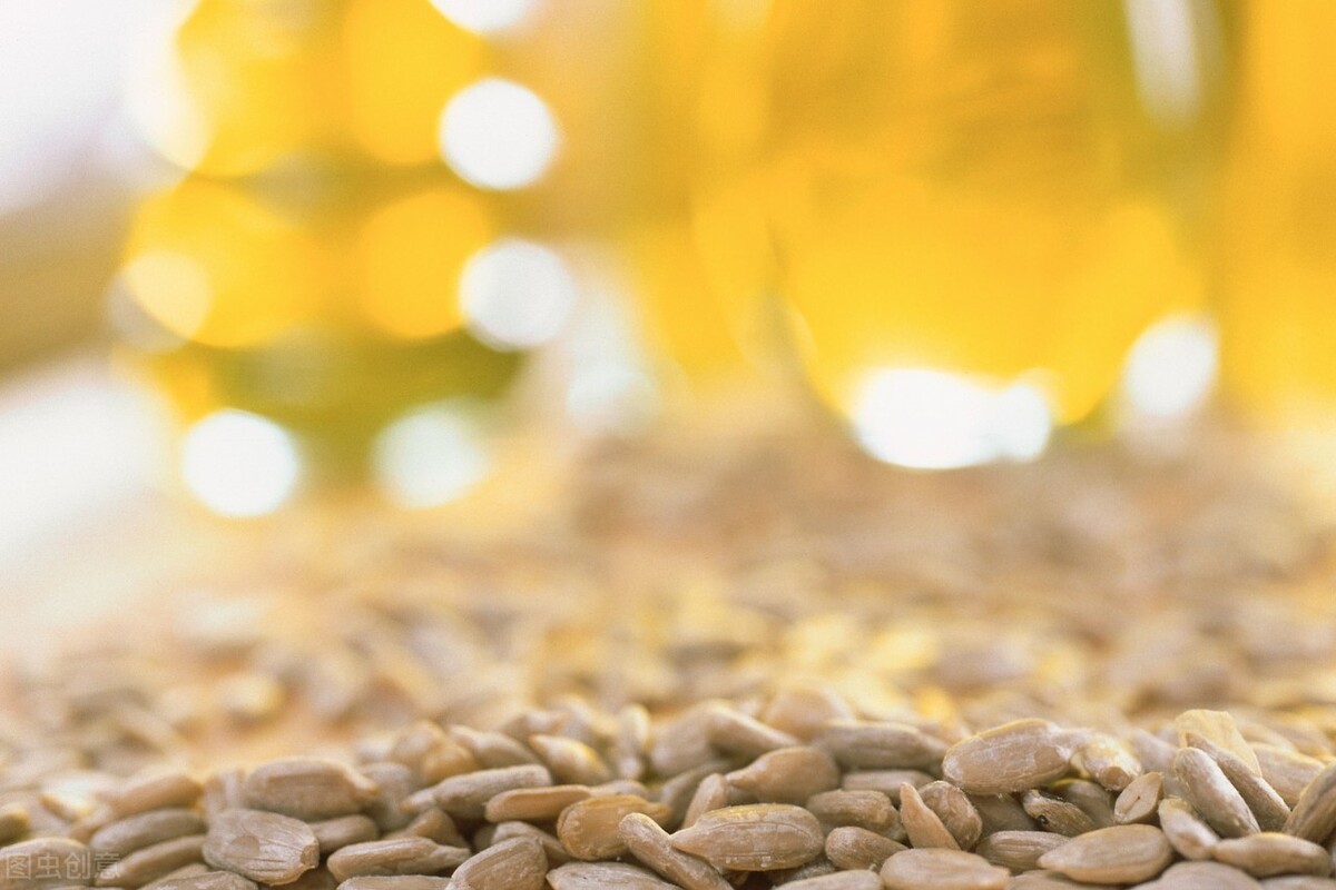 食用油选择什么的油最好,食用油选哪种更健康