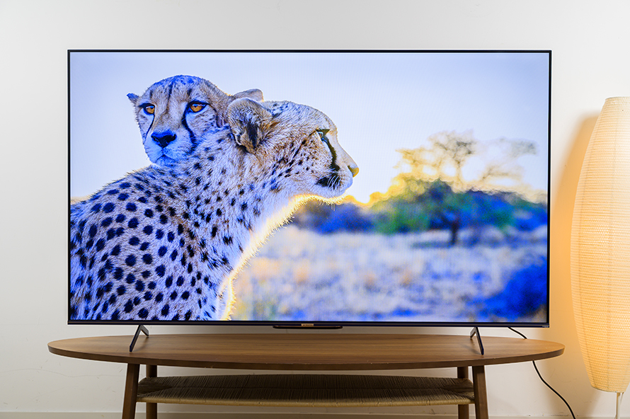 创维守护者65,创维守护者75寸