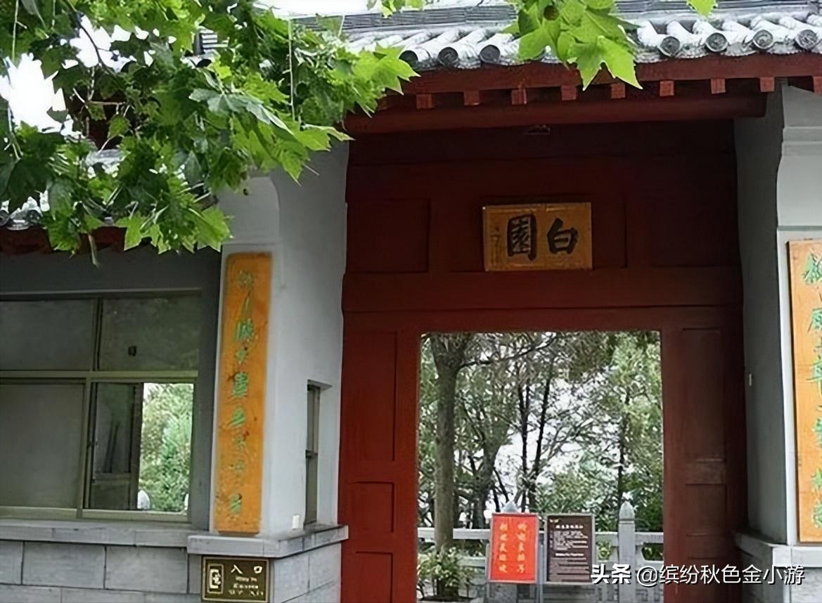 洛阳最值得去玩的旅游景点,洛阳什么地方好玩一日游免费