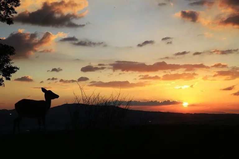 日本地图酒田市,日本酒图鉴