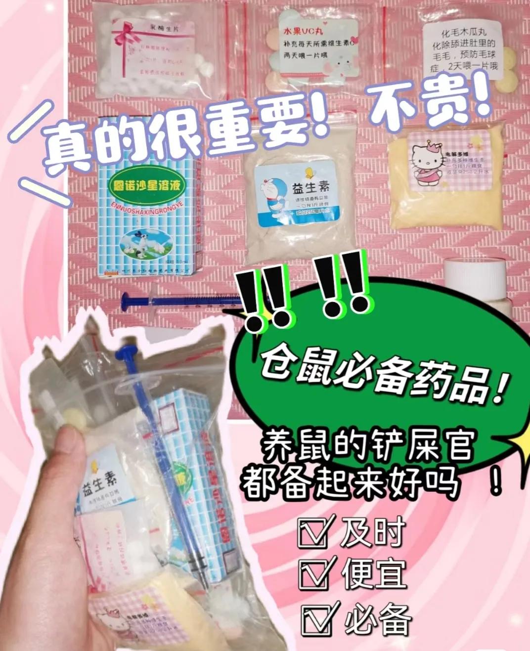 仓鼠用品萌宠,萌宠大人科普仓鼠知识