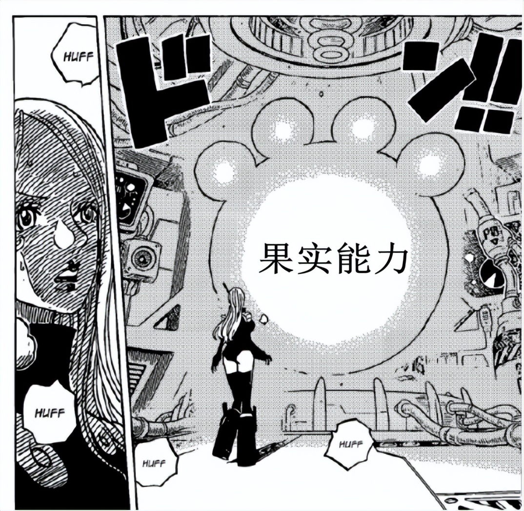 海贼王肉球果实的真正实力,海贼王肉球果实介绍