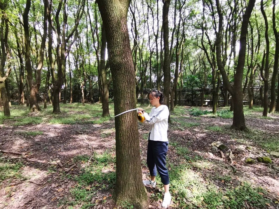 特色高中、生态科研，上海师大二附中的教育崛起之路