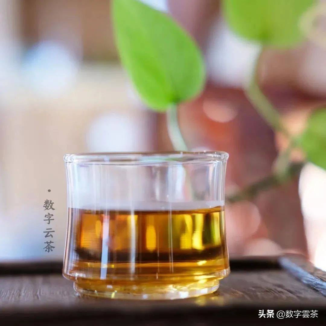 普洱泡出来有股苦涩菜汤味,普洱茶茶汤混浊是内含物质丰富吗