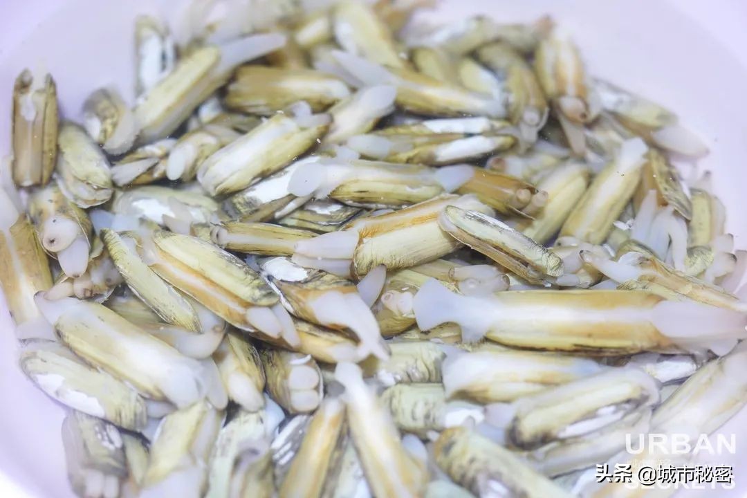 艮山门在拱宸桥北面,杭州艮山门水果市场简介