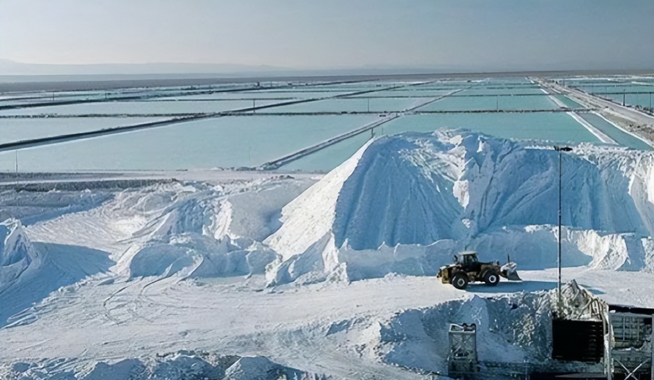 智利进口中国什么车最多 (智利进口中国汽车)